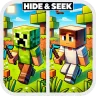 Hide and Seek (Minigame) 捉迷藏 小游戏  [1.8 – 1.21.5]️-5173MC - 我的世界资源社区